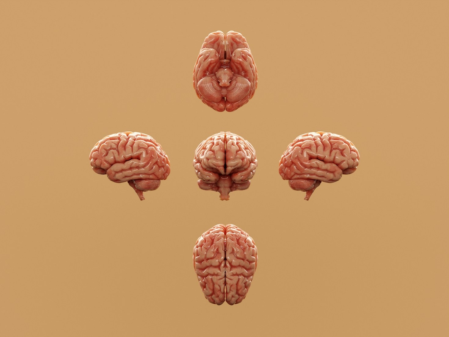 Tools and Tips for Neurodiverse Writers